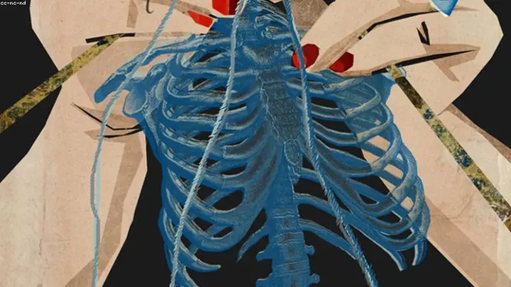 The Gut-Brain Highway
