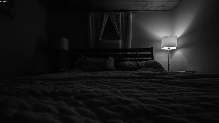 Sleep's Hidden Architecture